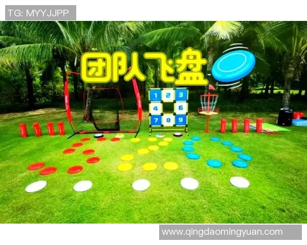 飞盘盛宴:深入了解重庆飞盘队的默契配合与团队精神