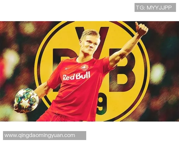 哈兰德：从天才少年到足球巨星的成长之路与未来展望