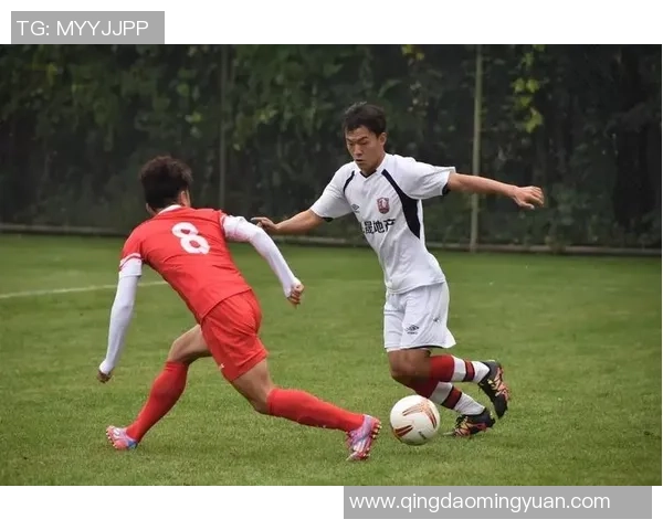 斯文登与绿色森林流浪的精彩对决揭示了足球的魅力与团队精神的较量